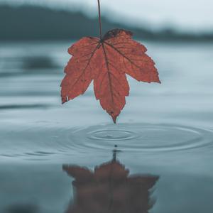 国产精品㊙️密入口果冻
