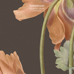 国产精品㊙️密入口果冻
